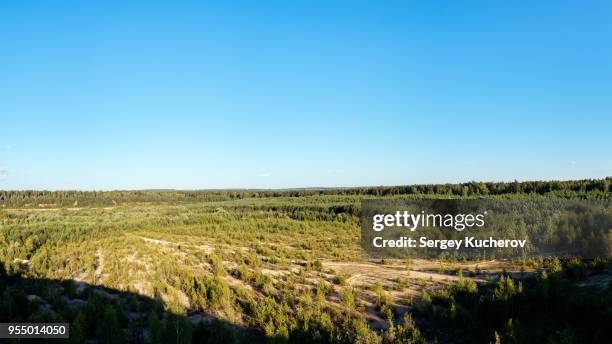 panorama view of revegetated sand quarry - mia woods fotografías e imágenes de stock