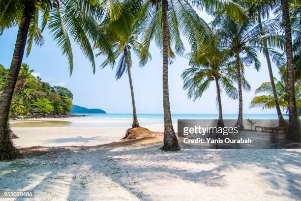 beautiful isolated beach in thailand (koh kut) with a swing - idyllic beach stock pictures, royalty-free photos & images