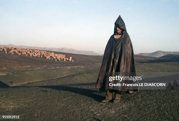 Berger surveillant son troupeau à Imilchil, en octibre 1980, Maroc.