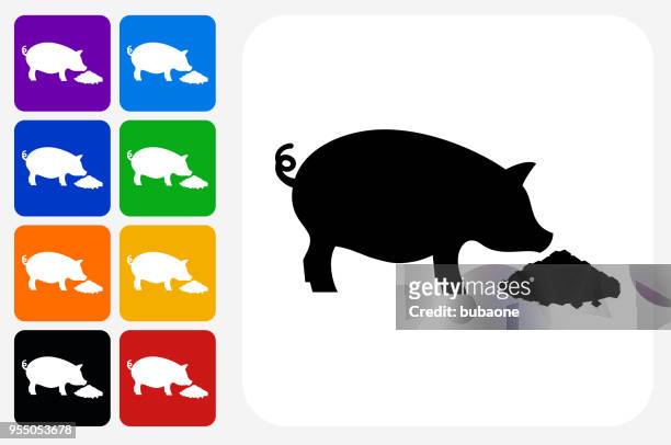 feeding pig icon square button set - pigs eating stock illustrations