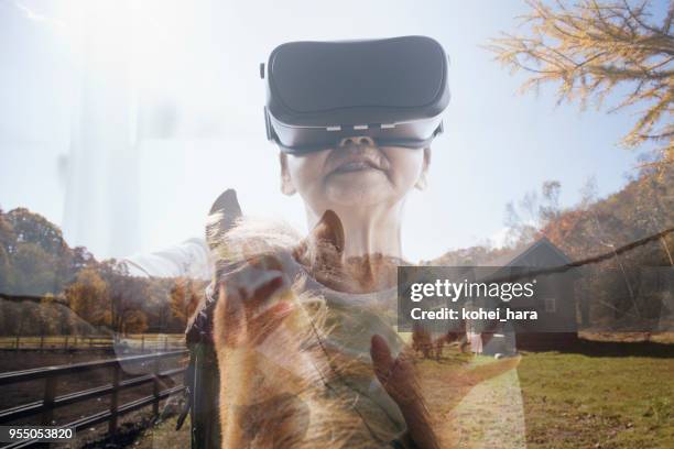 senior frau trägt eine virtual-reality-kopfhörer und genießen sie ein virtual-reality-reiten - augmented reality animal stock-fotos und bilder