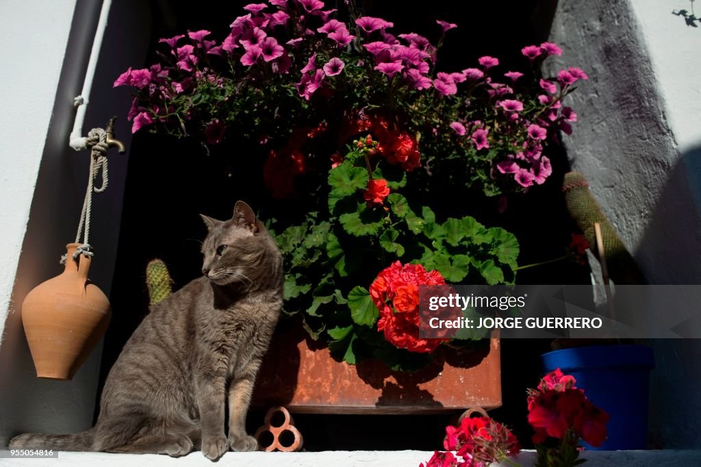 SPAIN-SPRING-PATIO-FESTIVAL