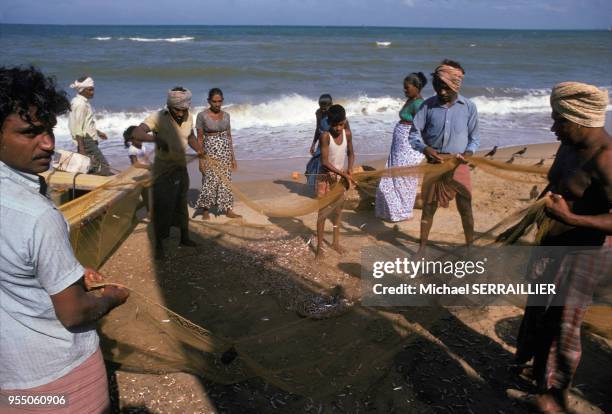 Pêcheurs sur la plage de Negombo, en mai 1980, Sri Lanka.