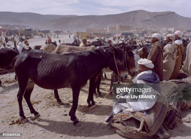 Le marché du moussem d'Imilchil, dans le Haut Atlas au Maroc, en 1983.