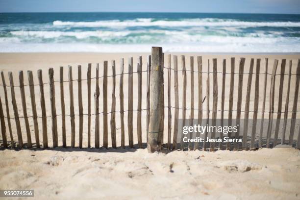 wooden fence in beach. france - beach fence stock-fotos und bilder