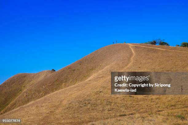 dry meadow and trails at doi mon jong, chiang mai, thailand. - copyright by siripong kaewla iad stock pictures, royalty-free photos & images