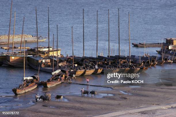 Sampans sur la rivière Xiang à Changsha, circa 1970, dans la province du Hunan, Chine.