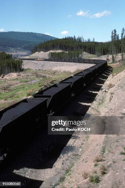 Train de charbon d'une mine d'Elkford, en Colombie Britannique, au Canada.