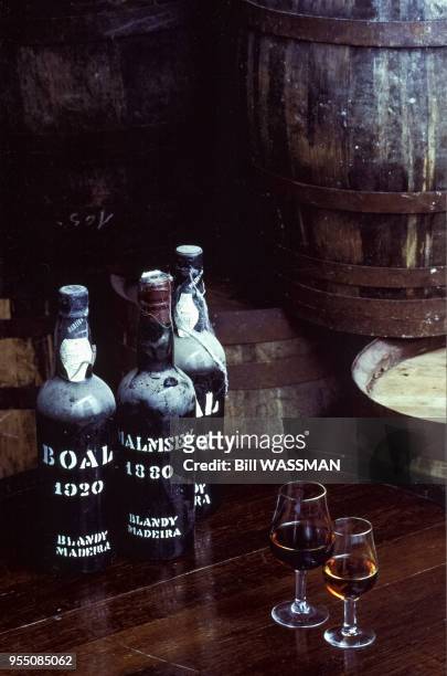Bouteilles de vin de Madère dans la cave ?Blandy's? à Funchal, en avril 1988, Portugal.