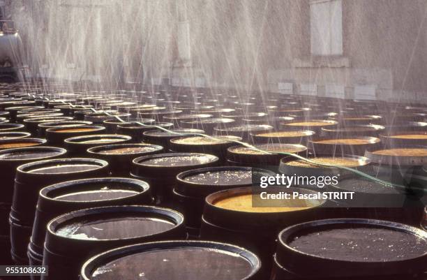 Arrosage des tonneaux dans un chai de la maison de champagne Krug à Reims, dans la Marne, France.