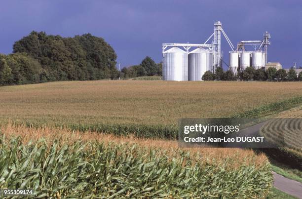 Silos à grain à Saint-Germain-de-la-Coudre, dans l'Orne, France.