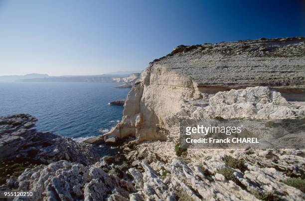 Les falaises de calcaire de Bonifacio, en juin 2003, en Corse-du-Sud, France.