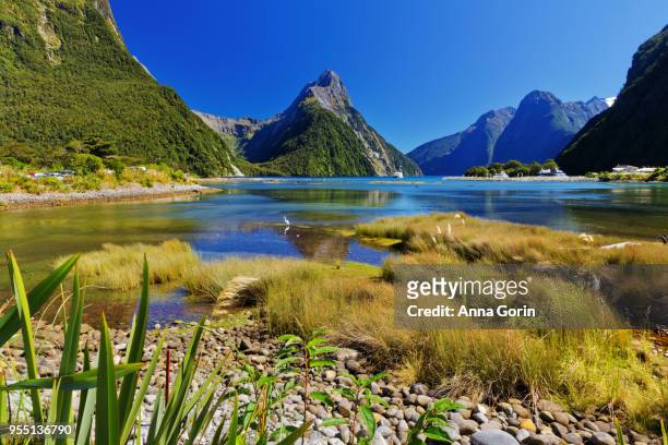 sunny autumn afternoon at milford sound looking out on mitre peak, south island new zealand - fjord milford sound stock-fotos und bilder