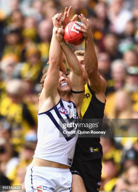 Dan Butler of the Tigers marks over the top of Ed Langdon of the Dockers during the round seven AFL match between the Richmond Tigers and the...