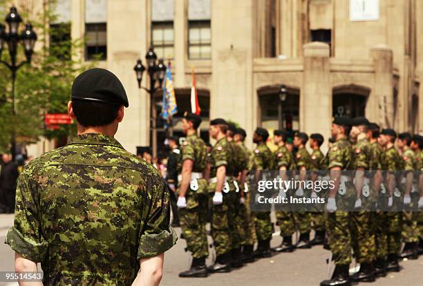 army discipline - canadian military stock pictures, royalty-free photos & images