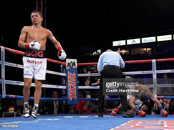 Gennady Golovkin reacts as Vanes Martirosyan is counted out in a second round knockout during the WBC-WBA Middleweight Championship at StubHub Center...