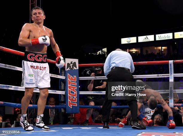 Gennady Golovkin reacts as Vanes Martirosyan is counted out in a second round knockout during the WBC-WBA Middleweight Championship at StubHub Center...