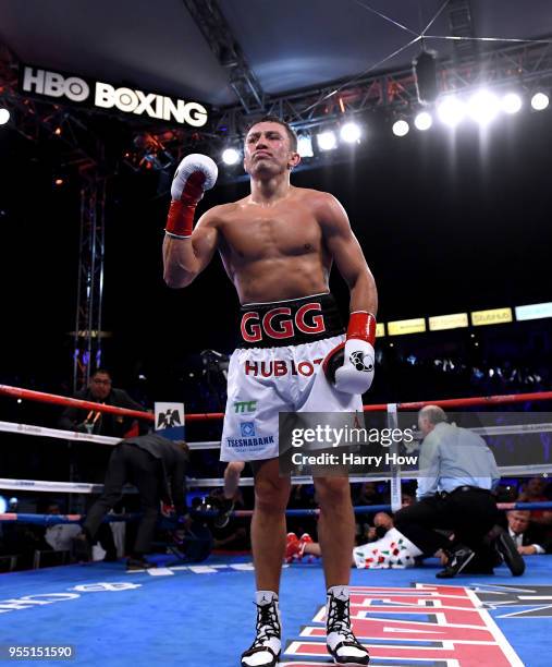 Gennady Golovkin reacts after a second round knockout of Vanes Martirosyan during the WBC-WBA Middleweight Championship at StubHub Center on May 5,...