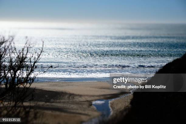 cove beach stream at ano nuevo state park - ano nuevo stock pictures, royalty-free photos & images