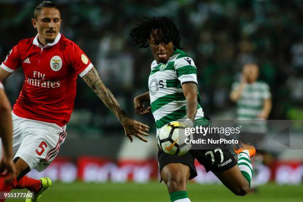 Sporting's forward Gelson Martins vies with Benfica's Serbian midfielder Ljubomir Fejsa during the Portuguese League football match between Sporting...