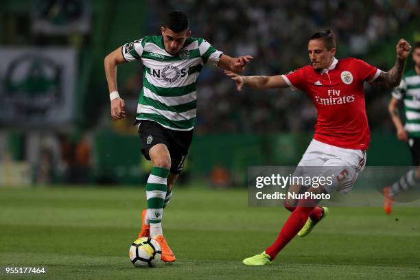 Sporting's midfielder Rodrigo Battaglia from Argentina vies with Benfica's Serbian midfielder Ljubomir Fejsa during the Primeira Liga football match...