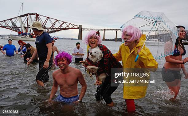 New Year revellers many in fancy dress, braved freezing conditions in the River Forth in front of the Forth Rail Bridge during the Loony Dook Swim on...