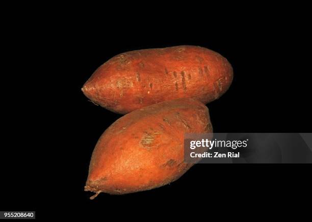 two whole sweet potatoes against black background - yam stock-fotos und bilder