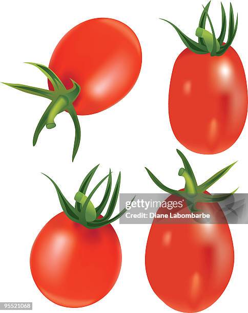 11点のローマトマトイラスト素材 Getty Images 11点のローマトマトイラスト素材 Getty Images