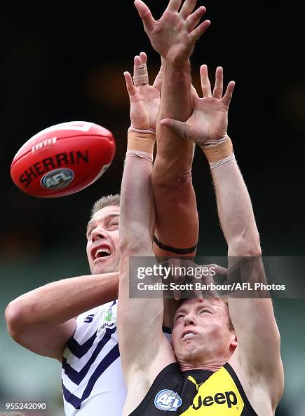AFL Rd 7 - Richmond v Fremantle AFL Rd 7 - Richmond v Fremantle