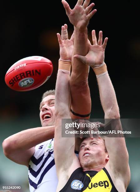 Aaron Sandilands of the Dockers and Dylan Grimes of the Tigers compete for the ball during the round seven AFL match between the Richmond Tigers and...