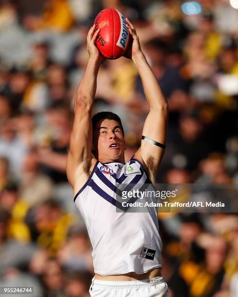 Bailey Banfield of the Dockers marks the ball during the 2018 AFL round seven match between the Richmond Tigers and the Fremantle Dockers at the...
