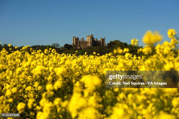 Rapeseed fields in front of Belvoir Castle, Leicestershire, as the Bank Holiday Monday is forecast to be the hottest since records began.