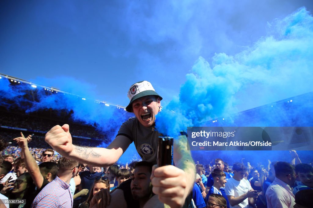 Cardiff City v Reading - Sky Bet Championship