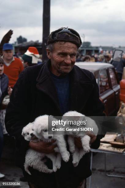 Vente de chiots berger de Podhale sur le marché de Nowy Targ, en octobre 1979, Pologne.