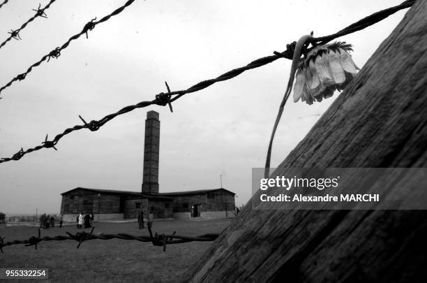 Death camp of Majdanek in Poland.