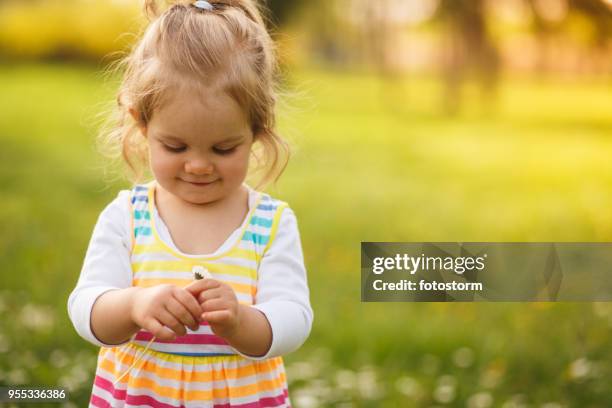 daisy meisje - alleen één babymeisje stockfoto's en -beelden