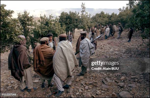 Pakistan Azrat 22 Azrat Stock Photos, High-Res Pictures, and Images - Getty Images