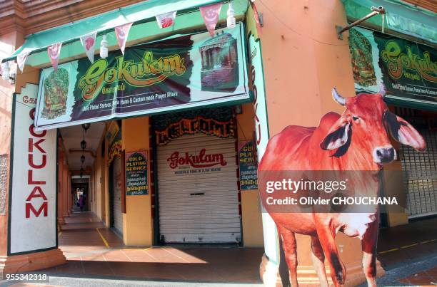 Enseigne de magasin et représentation d'une vache sacrée dans le quartier Indien et touristique de 'Little India' le 4 Mai 2016, Singapour. La...