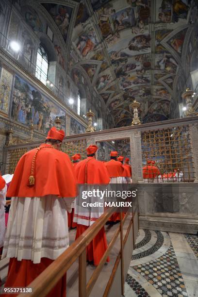 Cardinals filed into the Sistine Chapel for the conclave on March 12, 2013 in Vatican.