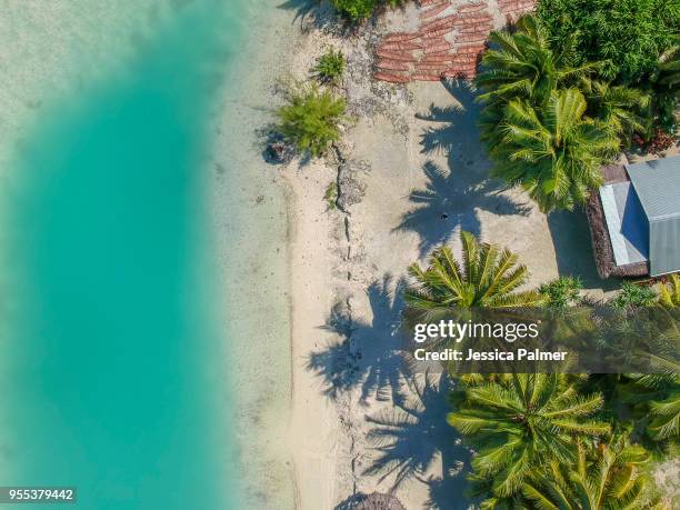 drone image of inano beach on the island of aitutaki in the cook islands - aitutaki bildbanksfoton och bilder