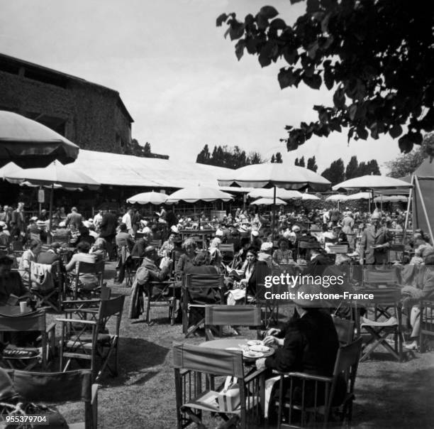 Terrasse de café à Wimbledon, à Londres, Royaume-Uni.