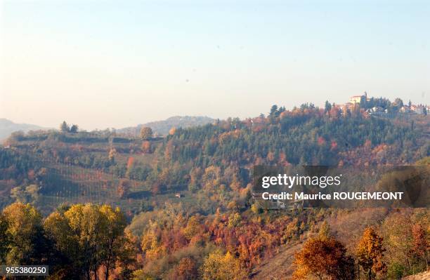 White truffles from Alba. The landscape of the Alba region. Italie: la truffe blanche d'Alba. Les paysages de la région d'Alba.