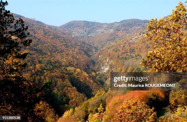 White truffles from Alba. The landscape of the Alba region. Italie: la truffe blanche d'Alba. Les paysages de la région d'Alba.