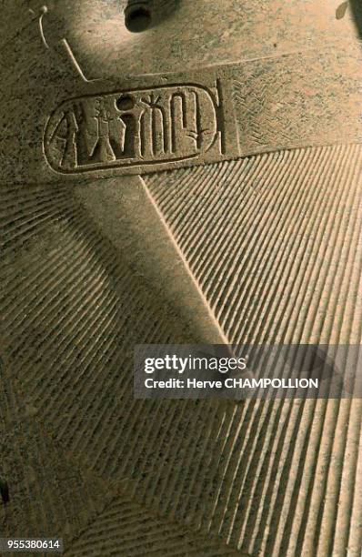 Detail of a pink granit colossus standing in the courtyard at the Temple of Luxor. The traditional pagne, the chendjit, worn by the monarch shows...