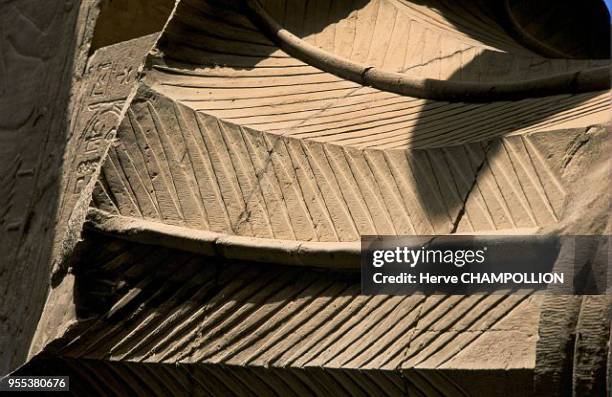 Temple of Sobek and Haroeris at Kom Ombo. This example of a palmiform motif, whose prototype dates back to the Ancient Empire, is found among a...