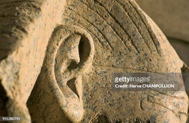 A pink granite statue representing Amenophis II sitting on a cubic throne is placed to the left of the fifth pylon. This close-up shot is only a part...