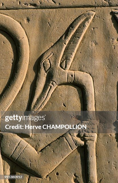 EGYPTE, HIEROGLYPHES