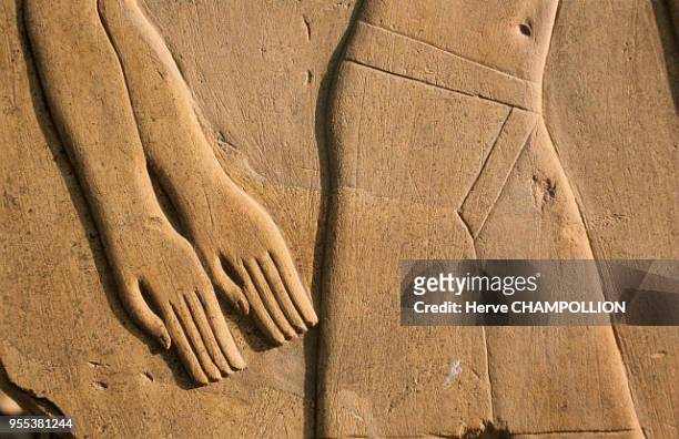 Outdoor museum. Temple of Amon Re at Karnak. East Thebes. A piece of an archaeological puzzle. This out of context block of limestone presents a...