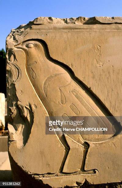 Outdoor museum. The temple of Amon Re at Karnak. East Thebes. This quail chick corresponds to the letter ' w ' in the hieroglyphic alphabet. In this...