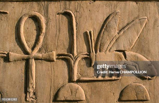 Outdoor museum. Temple of Amon Re at Karnak. East Thebes. Here, a composition with three hieroglyphs which is frequently found. From left to right:...